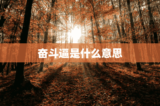 奋斗逼是什么意思(奋斗 意思)